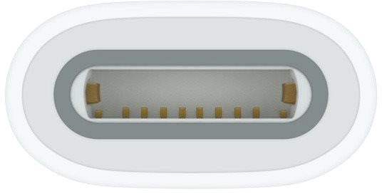 Ladegerät Apple USB-C Adapter für Apple Pencil (1. Generation) ...