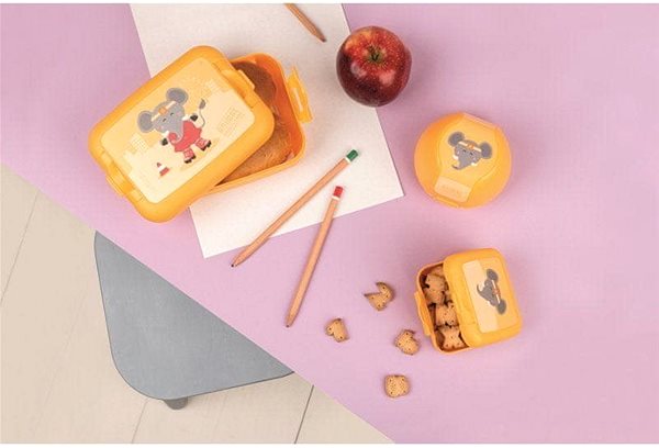 Snack Box DBP for fruit Elephant orange Lifestyle
