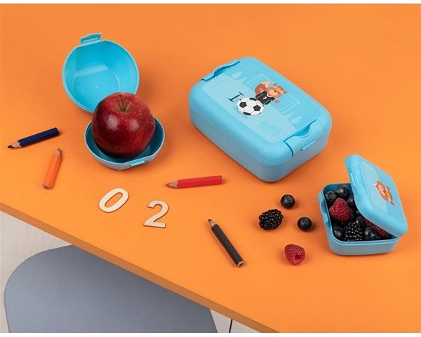 Snack Box DBP for fruit Squirrel blue Lifestyle