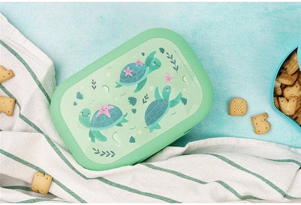 Snack Box DBP Turtle green Lifestyle