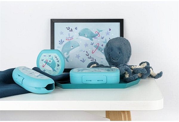 Snack Box DBP Whale blue Lifestyle