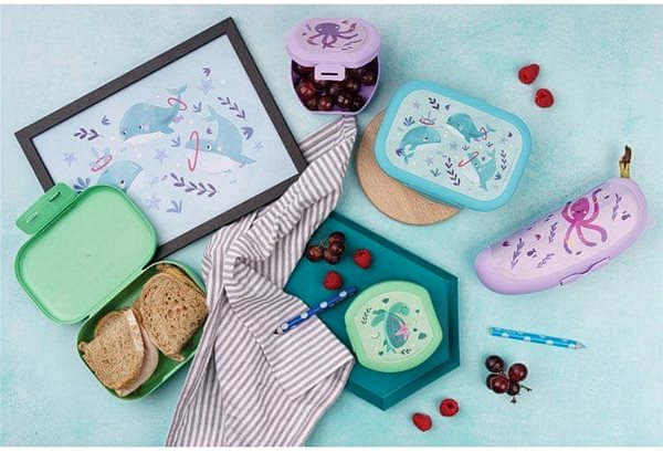 Snack Box DBP Whale blue ...