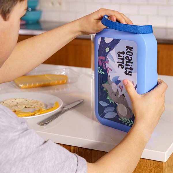 Snack Box DBP Snack box big Koala blue ...