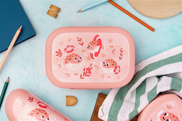 Snack Box DBP Snack box medium salmon ...