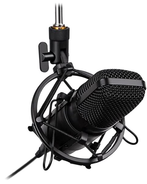 Microphone CONNECT IT ProMic CMI-9010-BK, Black Lateral view