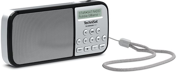 TechniSat TECHNIRADIO RDR, - Silver Radio