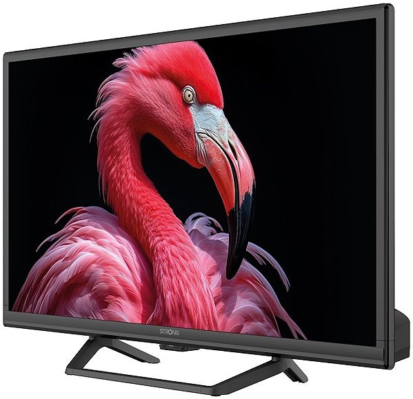 Television 24