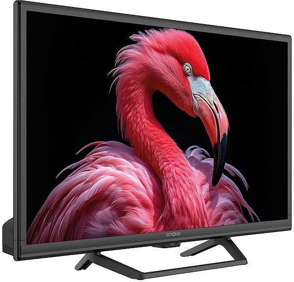 Television 24