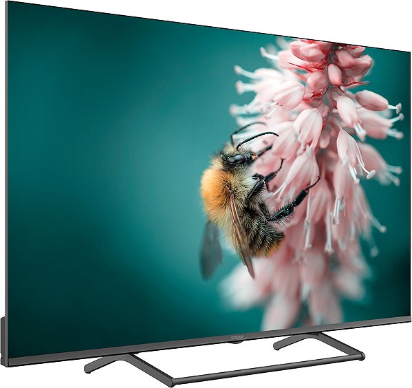 TV 55
