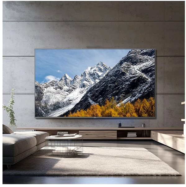 Television 98