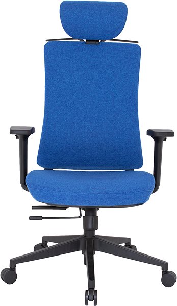 Office Chair KAPA Zlín RONY, bali, blue, brindle ...