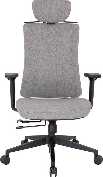 Office Chair KAPA Zlín RONY, bali, light grey, brindle ...