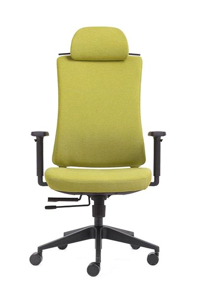 Office Chair KAPA Zlín RONY, bali, green, brindle ...