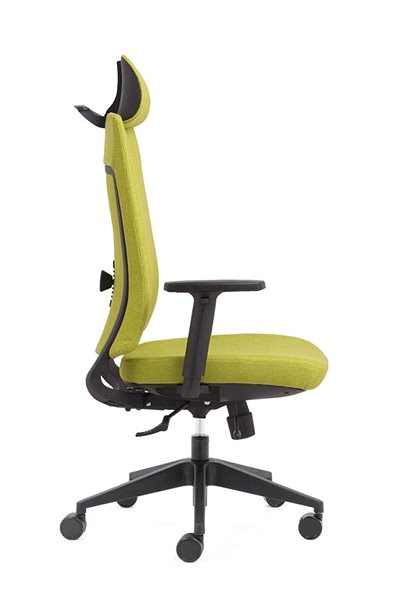 Office Chair KAPA Zlín RONY, bali, green, brindle ...