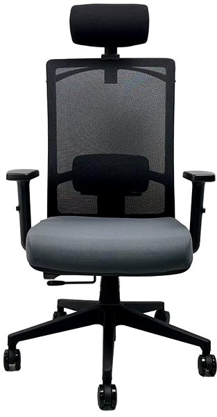 Office Chair OFFICE MORE Office chair DVIS anthracite with headrest ...