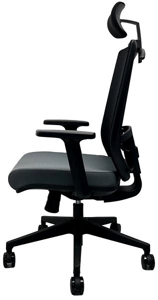 Office Chair OFFICE MORE Office chair DVIS anthracite with headrest ...