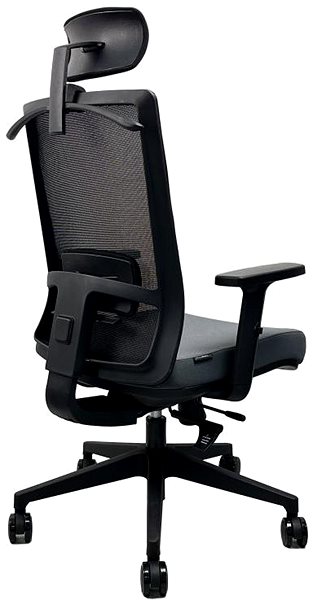 Office Chair OFFICE MORE Office chair DVIS anthracite with headrest ...