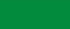 Acrylic paints for canvas KREUL TRITON SOLO GOYA Permanent Green, 100 ml .