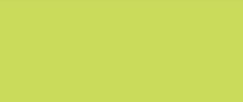 Acrylic paints for canvas KREUL TRITON SOLO GOYA Light Green, 100 ml .