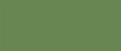 Acrylic paints for canvas KREUL TRITON SOLO GOYA Foliage Green, 100 ml .