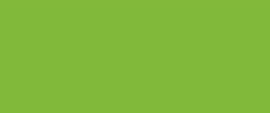Acrylic paints for canvas KREUL TRITON SOLO GOYA Yellowish Green, 100 ml .