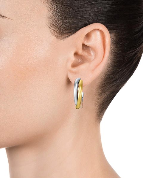 VICEROY Chic 75320E01019 earrings.
