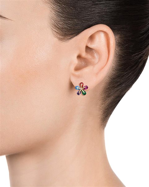 VICEROY JEWELS Elegant 13083E100-99 earrings (Ag925/1000, 1.9g).