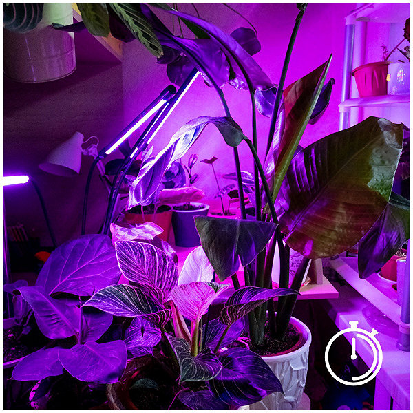 Garden lighting KOBI LED Dimmable flexible table lamp with clip for growing plants, VITARO 3, 10 W 230 V .