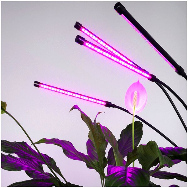 Garden lighting KOBI LED Dimmable flexible table lamp with clip for growing plants, VITARO 4, 10 W 230 V .