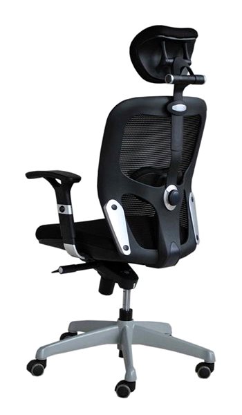 Office Chair KAPA Zlín LISA - H, black ...