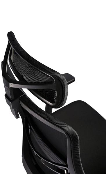 Office Chair KAPA Zlín SELLY P, black ...