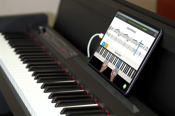 KORG LP-380U RWBK digital piano.