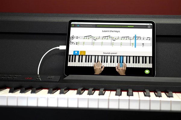 KORG LP-380U RWBK digital piano.