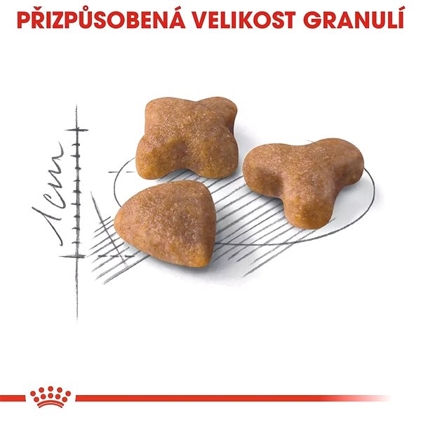 Granules for cats Royal Canin Sensible 10 + 2 kg .