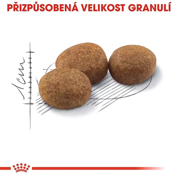Granules for cats Royal Canin Sterilised 10 + 2 kg .