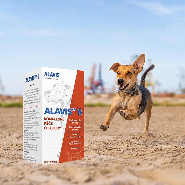 Joint nutrition for dogs ALAVIS™ 5 For cats and dogs 90 tablets .