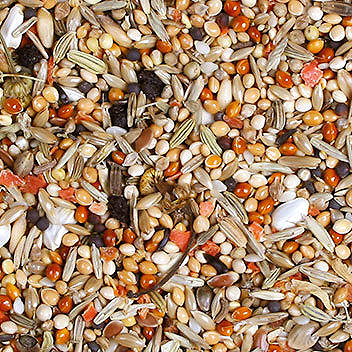 JR Birds Korela Individual 1 kg .