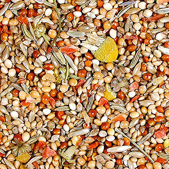 Bird food JR Birds Zebra Individual 1 kg .