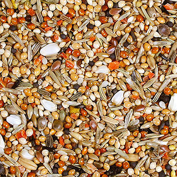 Bird food JR Birds Senegal Individual 950 g .