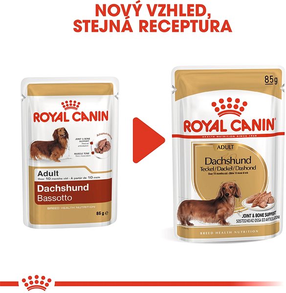 Kapsička pre psov Royal Canin Dachshund 12× 85 g ...