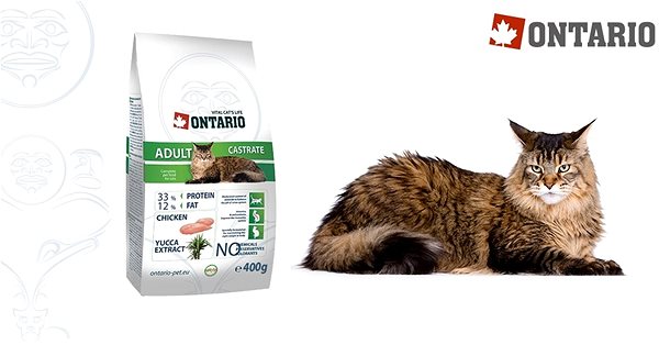 Granule pre mačky ONTARIO Adult Castrate 2 kg ...