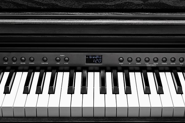 E-Piano KURZWEIL CUP E1 BK ...
