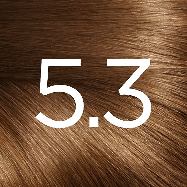 Hair Dye ĽORÉAL PARIS Excellence 5.3 Light Brown Gold 192ml Lateral view