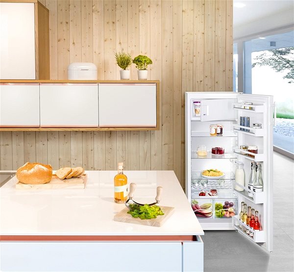 Refrigerator LIEBHERR KP 290 Lifestyle