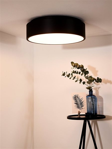Ceiling Light Lucide 46100/32/30 - LED Ceiling Light TALOWE, LED/30W/230V, Black ...
