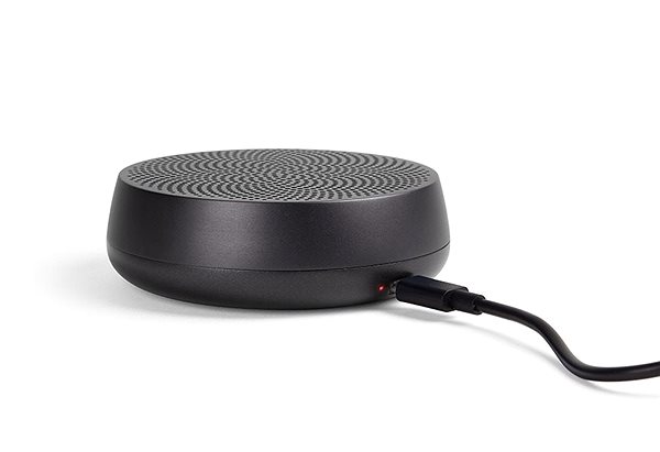 Bluetooth Speaker Lexon Mino L Grey Connectivity (ports)