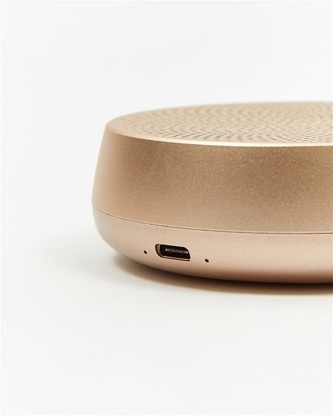 Bluetooth Speaker Lexon Mino L Gold Connectivity (ports)