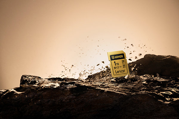 Speicherkarte Lexar SDXC ARMOR Gold 256 GB ...