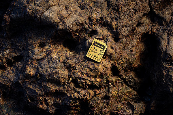 Speicherkarte Lexar SDXC ARMOR Gold 256 GB ...