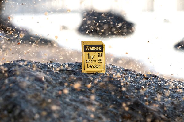Speicherkarte Lexar SDXC ARMOR Gold 512 GB ...